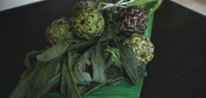 Wyciąg z karczocha – naturalne wsparcie dla wątroby i układu trawiennego