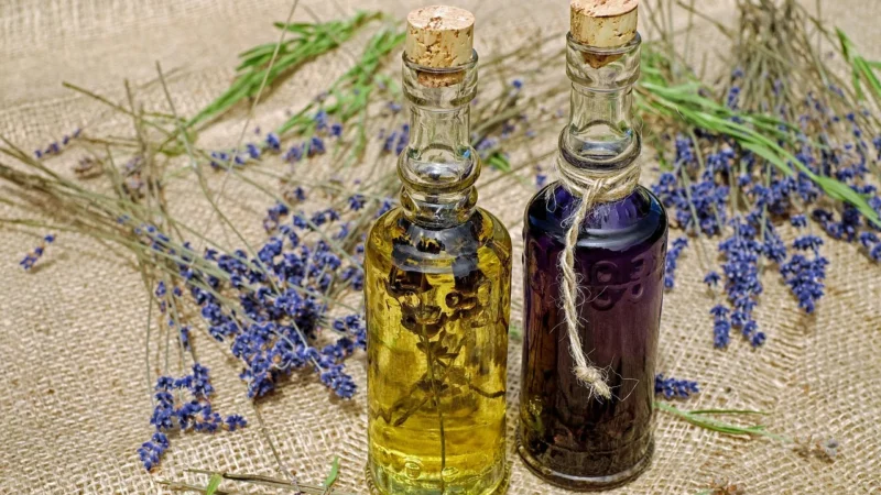 Olej z pestek dyni – naturalny wybór dla zdrowia i smaku